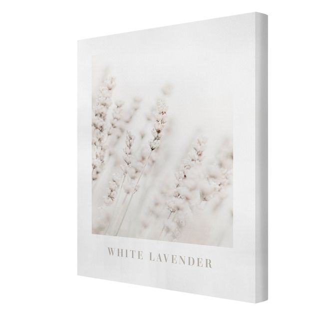 Leinwandbild - White Lavender - Hochformat 3:4