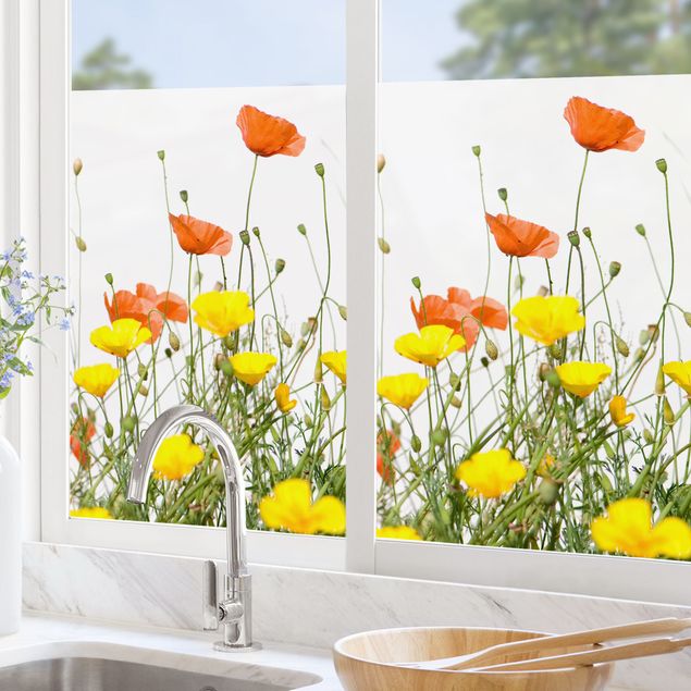 Fensterbilder Blumen Wild Flowers