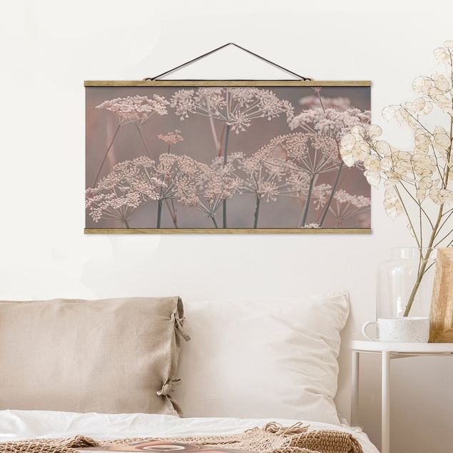 Wandbilder Wilde Doldenblüten