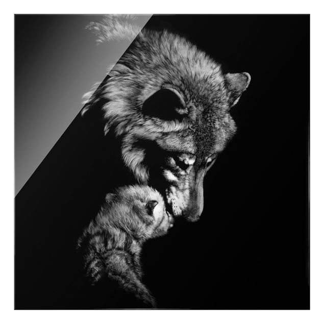 Glasbilder Tiere Wolf vor Schwarz