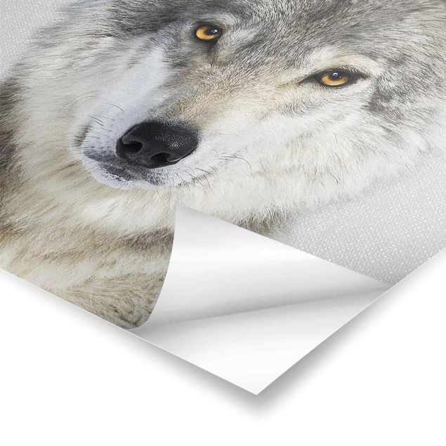 Poster kaufen Wolf Wendelin