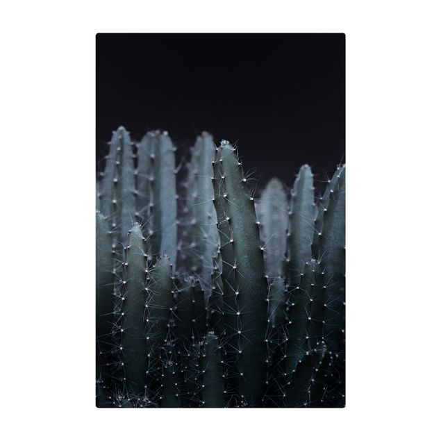 Teppich Esszimmer Wüstenkaktus bei Nacht