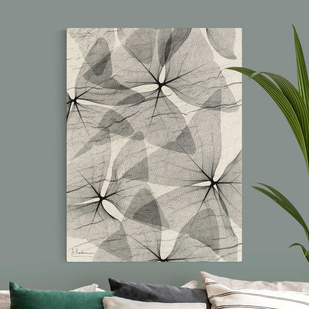 Leinwandbilder Blumen X-Ray - Dreiecksklee mit Textil