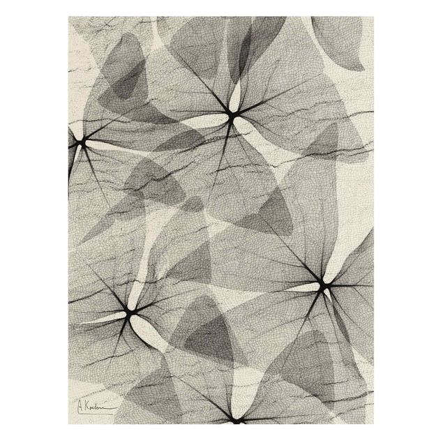 Albert Koetsier X-Ray - Dreiecksklee mit Textil