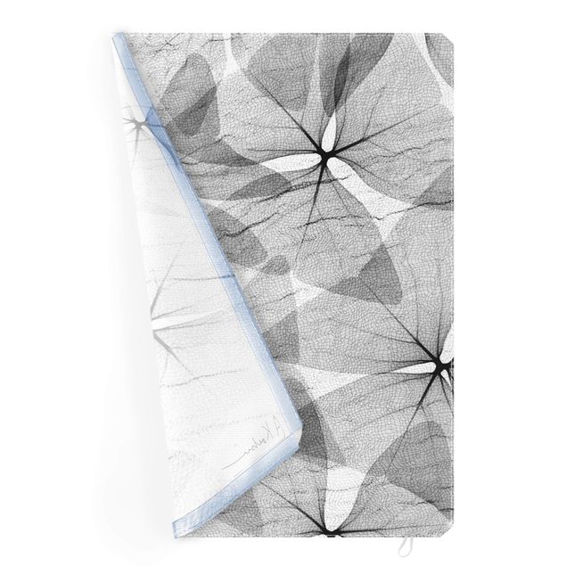 Wechselbild - X-Ray - Dreiecksklee mit Textil