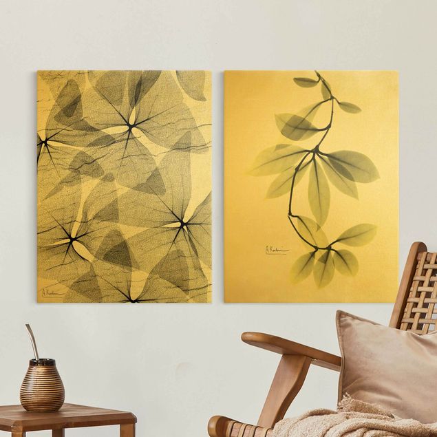 Wandbilder XXL X-Ray - Dreiecksklee und Porzellanblumenblätter