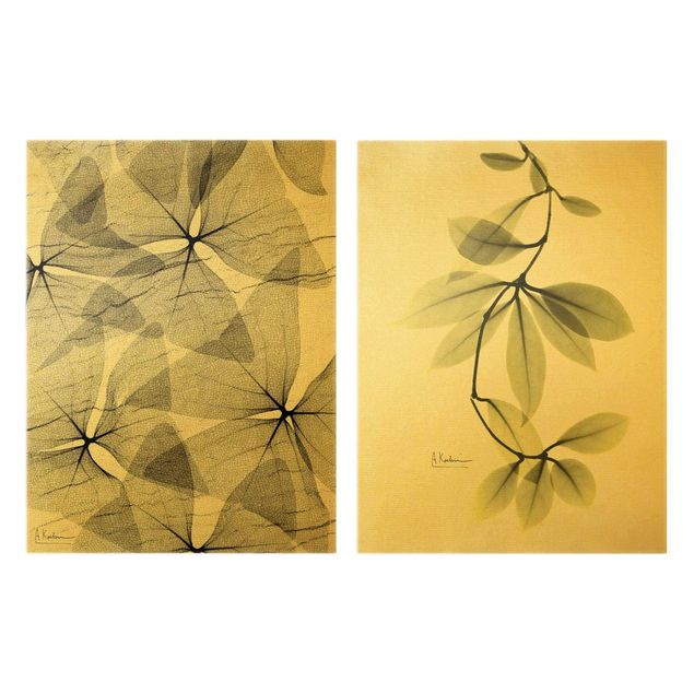 Wandbilder X-Ray - Dreiecksklee und Porzellanblumenblätter