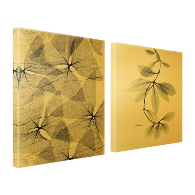 Leinwandbilder X-Ray - Dreiecksklee und Porzellanblumenblätter