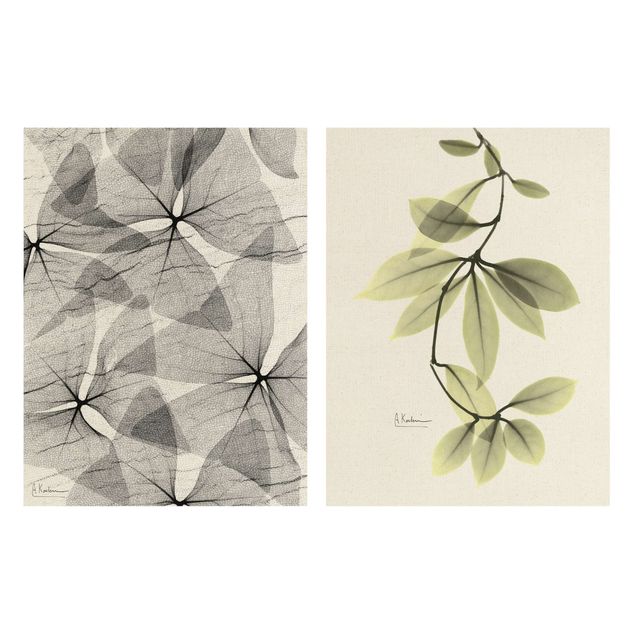Bilder für die Wand X-Ray - Dreiecksklee und Porzellanblumenblätter