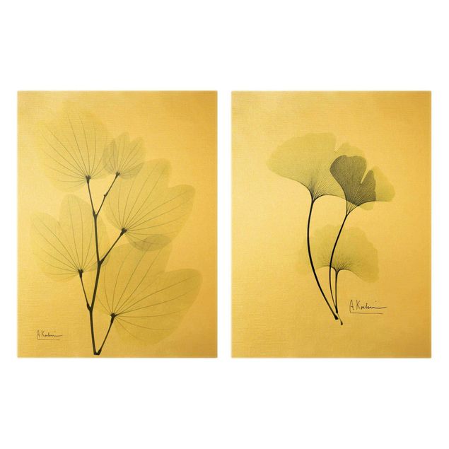 Bilder für die Wand X-Ray - Orchideenbaumblätter & Ginko