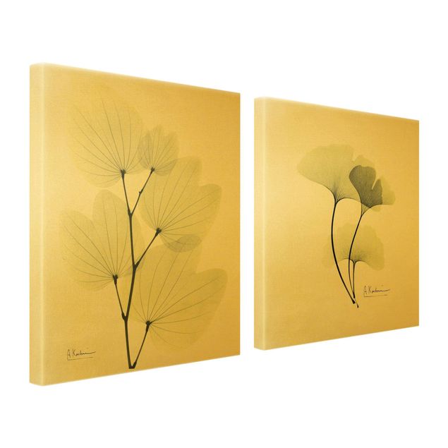 Schöne Leinwandbilder X-Ray - Orchideenbaumblätter & Ginko