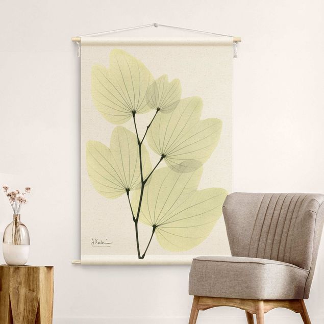 Wandbehang Kunst X-Ray - Orchideenbaumblätter