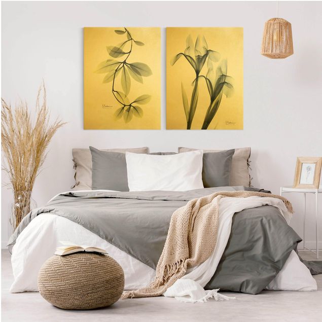 Wandbilder Blumen X-Ray - Porzellanblumenblätter & Schwertlilie
