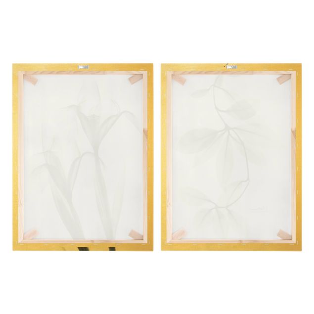 Leinwandbild 2-teilig - X-Ray - Porzellanblumenblätter & Schwertlilie