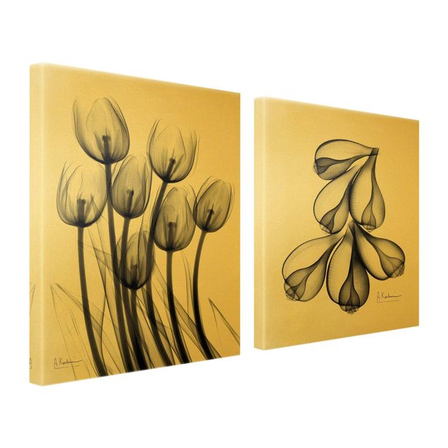 Schöne Wandbilder X-Ray - Tulpen & Feigenschalen