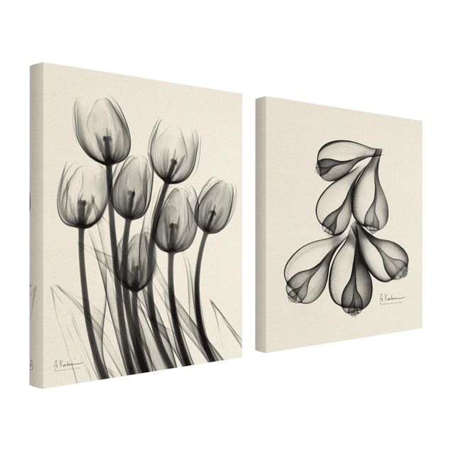 Wandbilder X-Ray - Tulpen & Feigenschalen