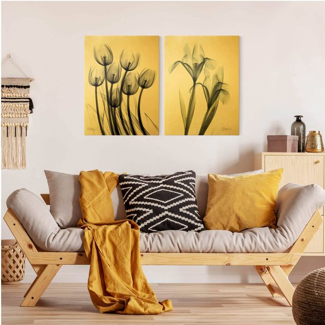 Wandbilder Blumen X-Ray - Tulpen & Schwertlilie