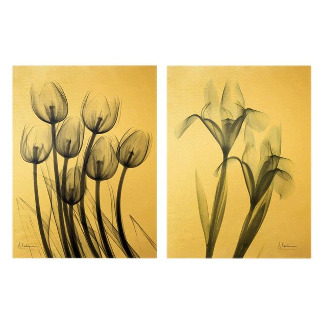 Bilder für die Wand X-Ray - Tulpen & Schwertlilie