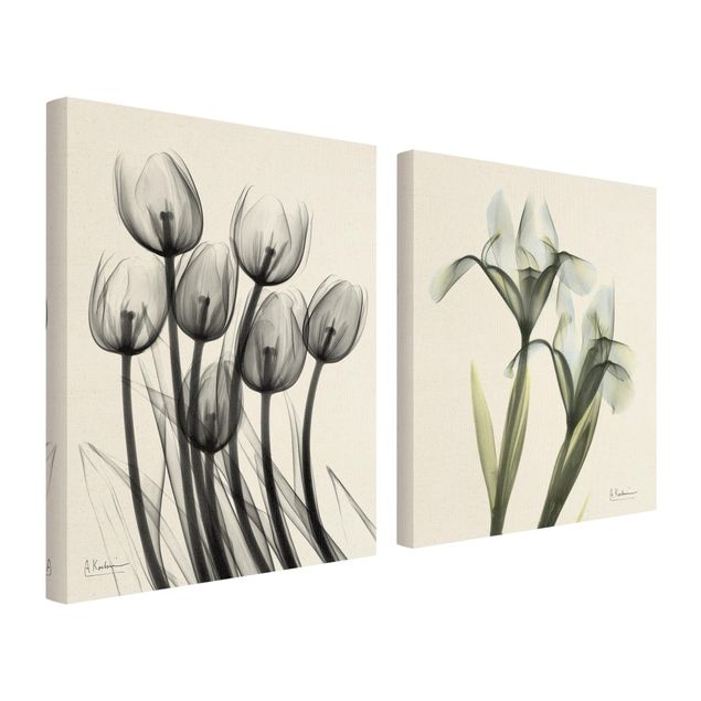 Bilder auf Leinwand X-Ray - Tulpen & Schwertlilie