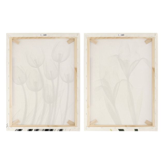 2-teiliges Leinwandbild - X-Ray - Tulpen & Schwertlilie