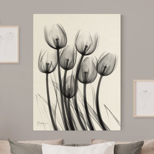 Wandbilder Blumen X-Ray - Tulpen