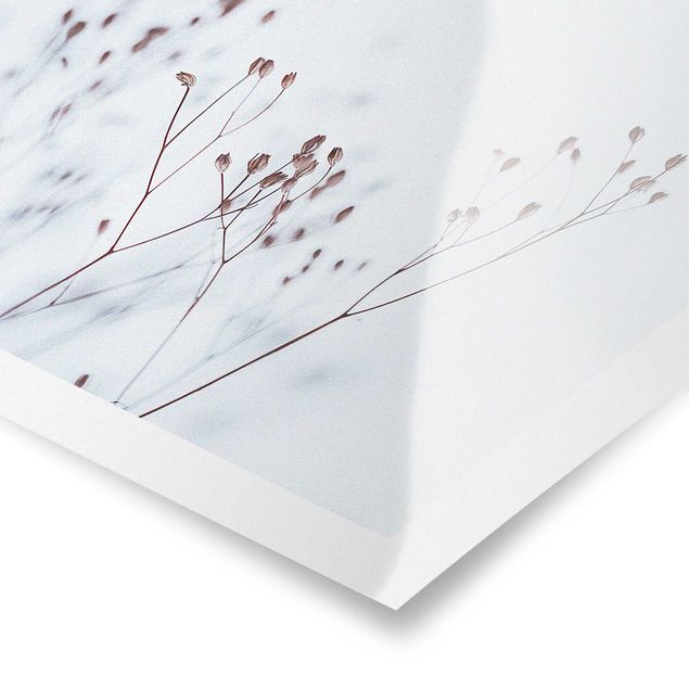 Poster - Zartblaue Wildblumen - Querformat 3:2
