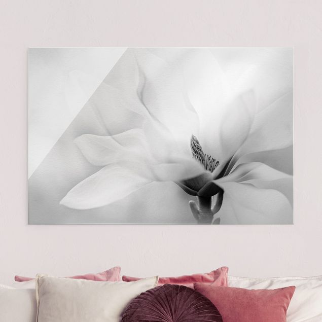 XXL Glasbilder Zarte Magnolienblüte Schwarz-Weiß