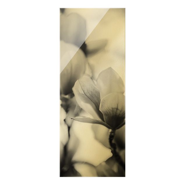 Glasbild - Zarte Magnolienblüten II - Hochformat 2:5
