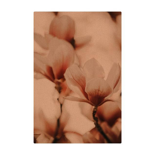 Teppich Esszimmer Zarte Magnolienblüten im Lichtspiel