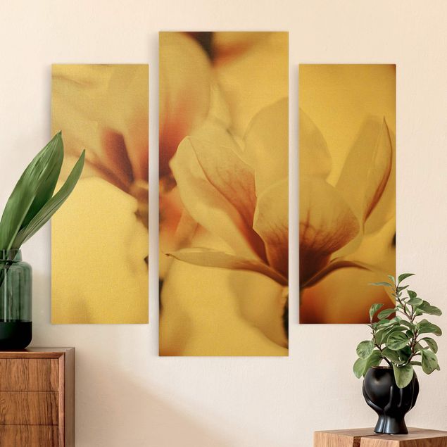 Leinwandbilder Wohnzimmer modern Zarte Magnolienblüten im Lichtspiel