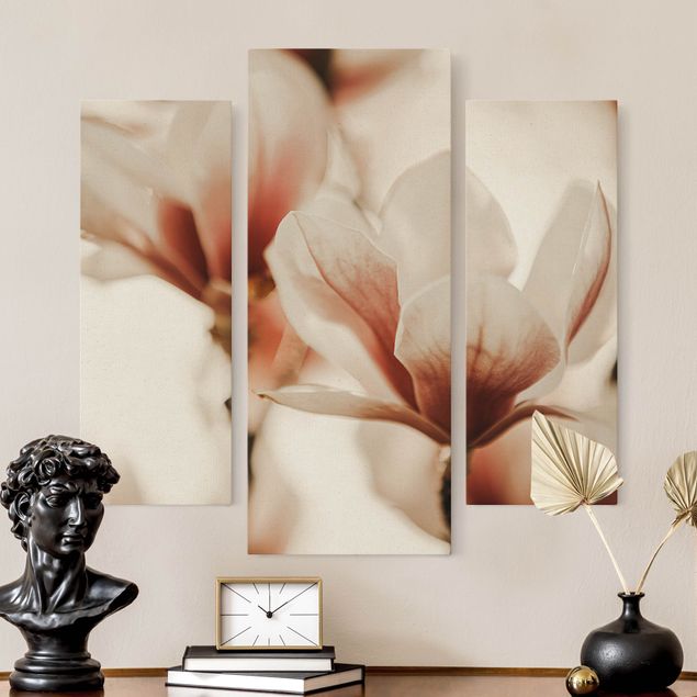 Leinwandbilder Wohnzimmer modern Zarte Magnolienblüten im Lichtspiel