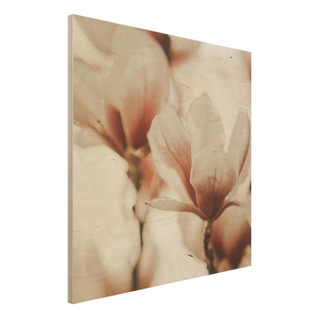 Holzbild - Zarte Magnolienblüten im Lichtspiel - Quadrat