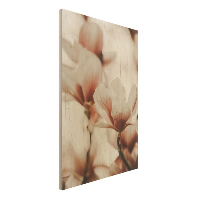 Holzbilder mit Blumen Zarte Magnolienblüten im Lichtspiel