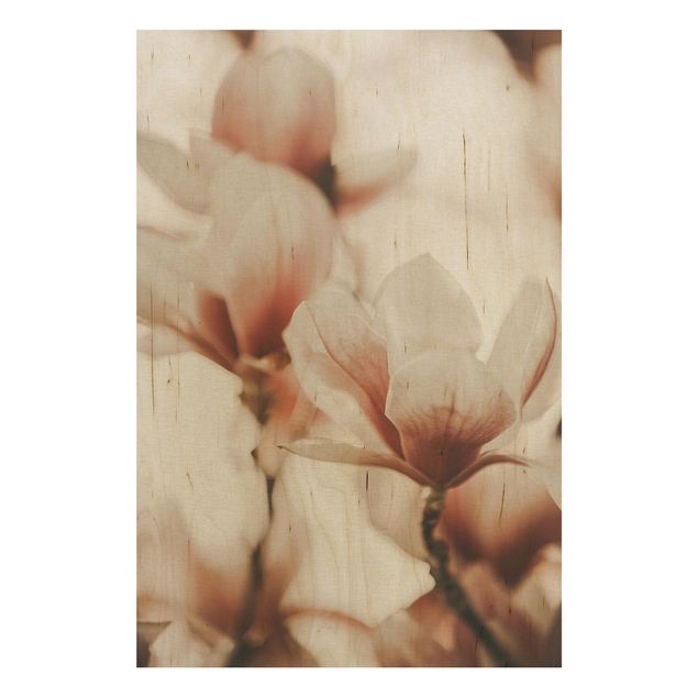 Moderne Holzbilder Zarte Magnolienblüten im Lichtspiel