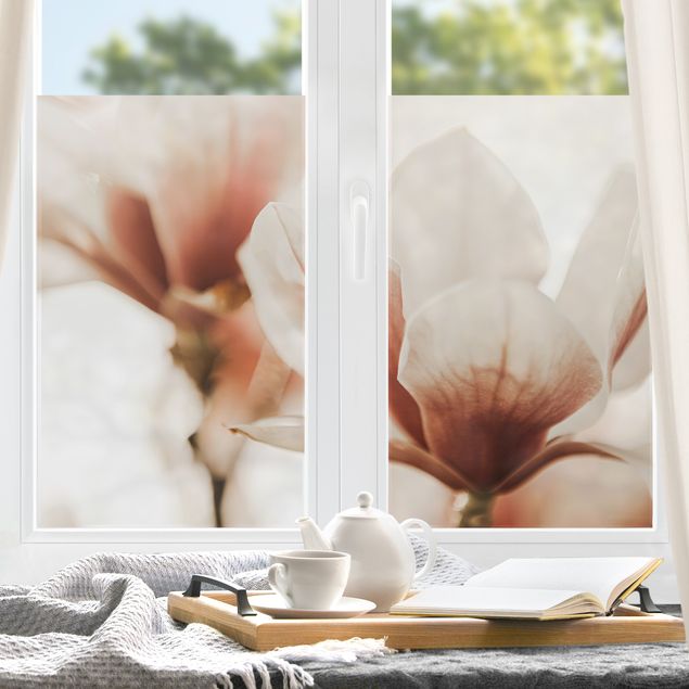 Fensterbilder selbstklebend Blumen Zarte Magnolienblüten im Lichtspiel