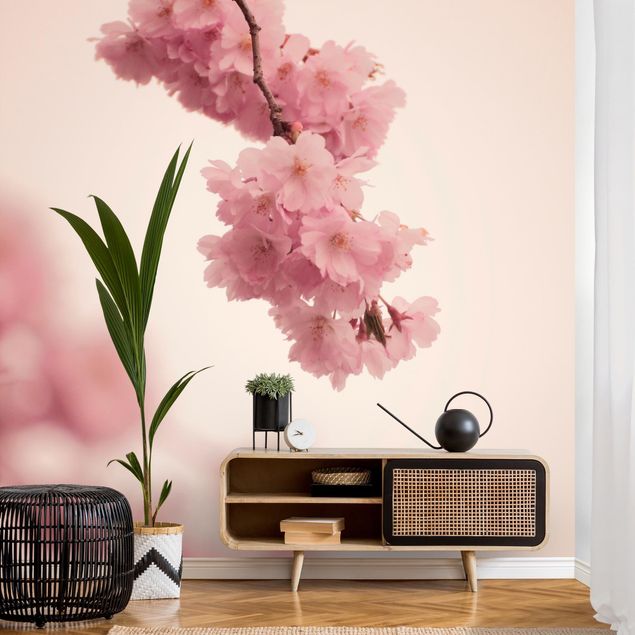 Moderne Tapeten Zartrosane Frühlingsblüte mit Bokeh