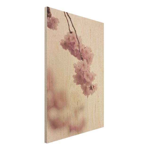 Holzbilder Blumen Zartrosane Frühlingsblüte mit Bokeh