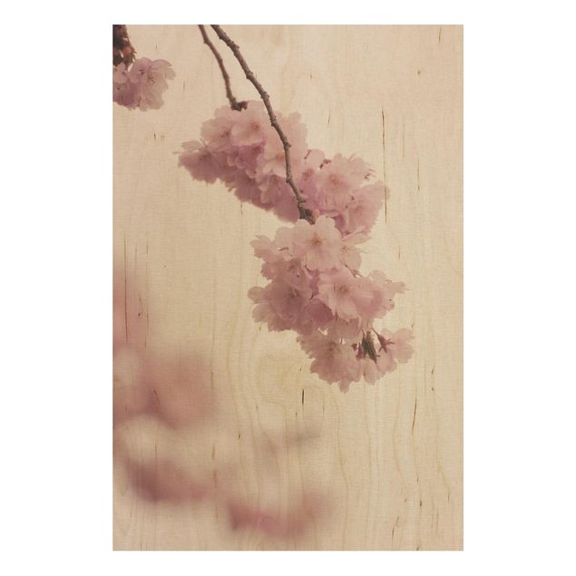 Holzbilder modern Zartrosane Frühlingsblüte mit Bokeh