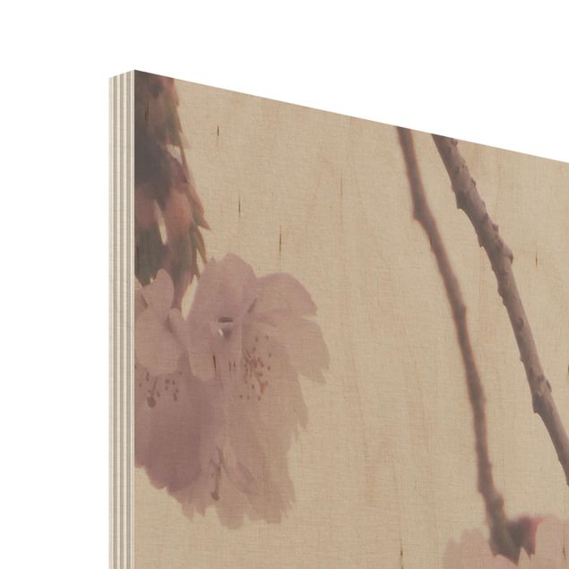 Holzbild - Zartrosane Frühlingsblüte mit Bokeh - Hochformat