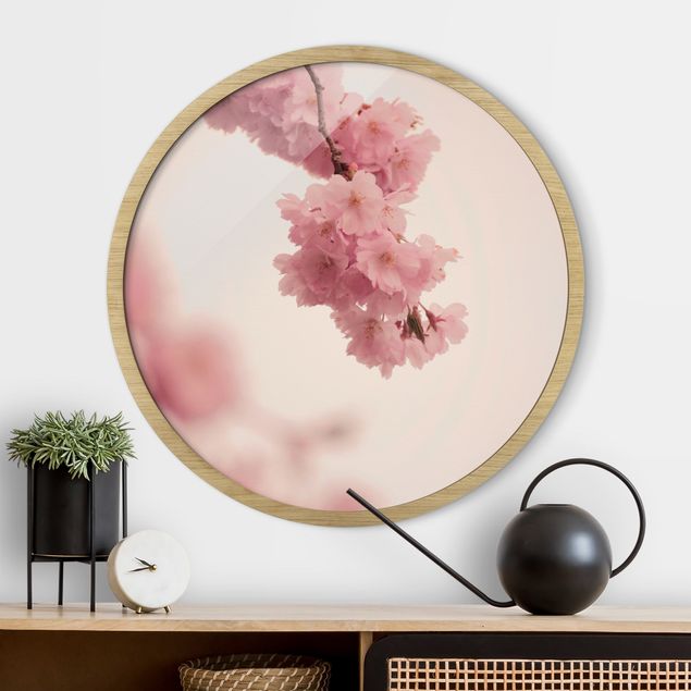 Wandbild rund Zartrosane Frühlingsblüte mit Bokeh
