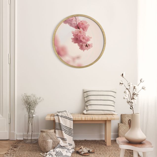 Bilder mit Rahmen Blumen Zartrosane Frühlingsblüte mit Bokeh