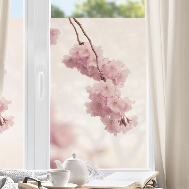 Fensterbilder Blumen Zartrosane Frühlingsblüte mit Bokeh