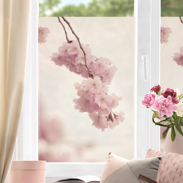 Fensterbilder Frühling Zartrosane Frühlingsblüte mit Bokeh