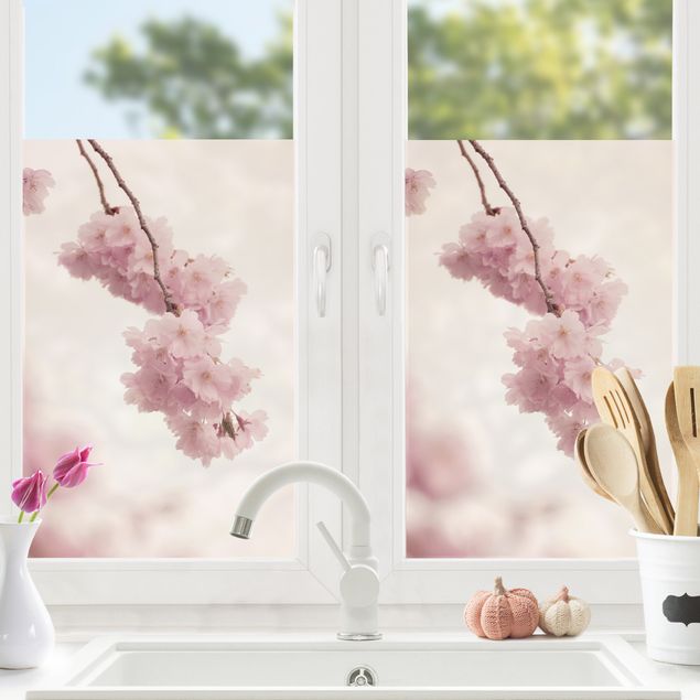 XXL Fensterbilder Zartrosane Frühlingsblüte mit Bokeh