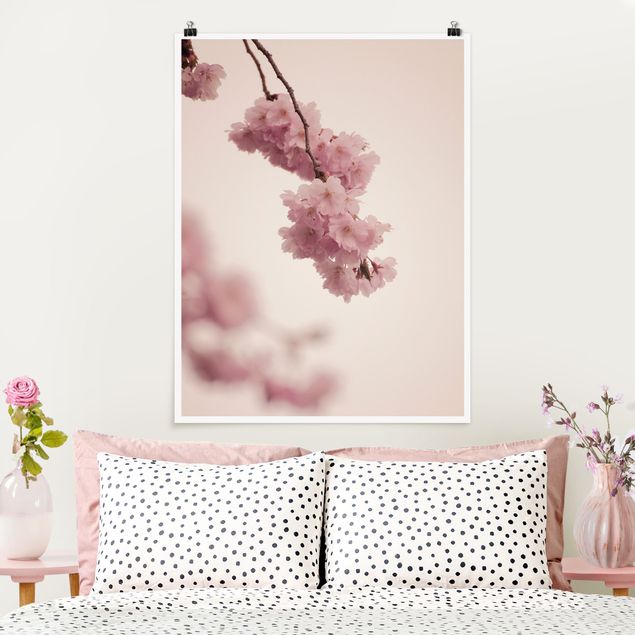 Blumen Poster Zartrosane Frühlingsblüte mit Bokeh