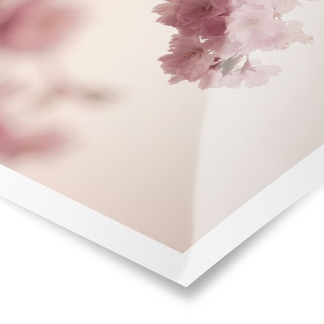 Poster - Zartrosane Frühlingsblüte mit Bokeh - Hochformat 3:4