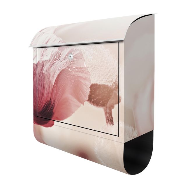 Designer Briefkasten Zartrosane Mohnblüte mit Wassertropfen