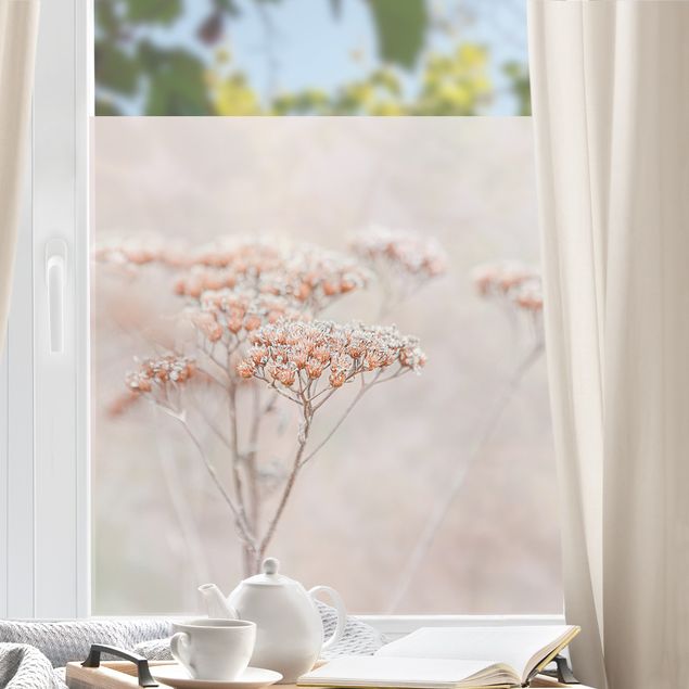 Fensterbilder selbstklebend Blumen Zartrosane Wildblumen