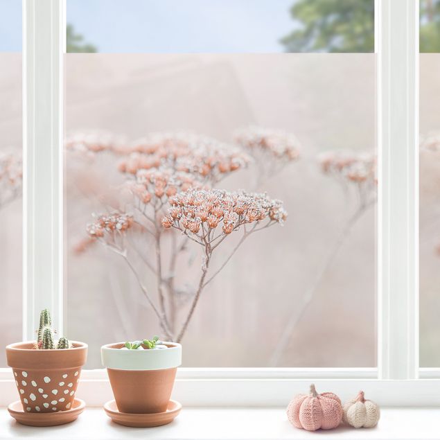 Frühling Fensterdeko Zartrosane Wildblumen