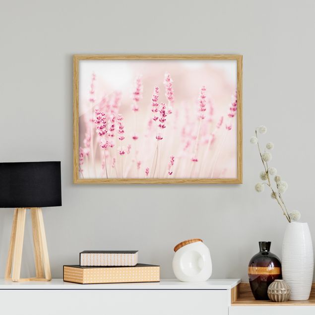 Bilder mit Rahmen Blumen Zartrosaner Lavendel